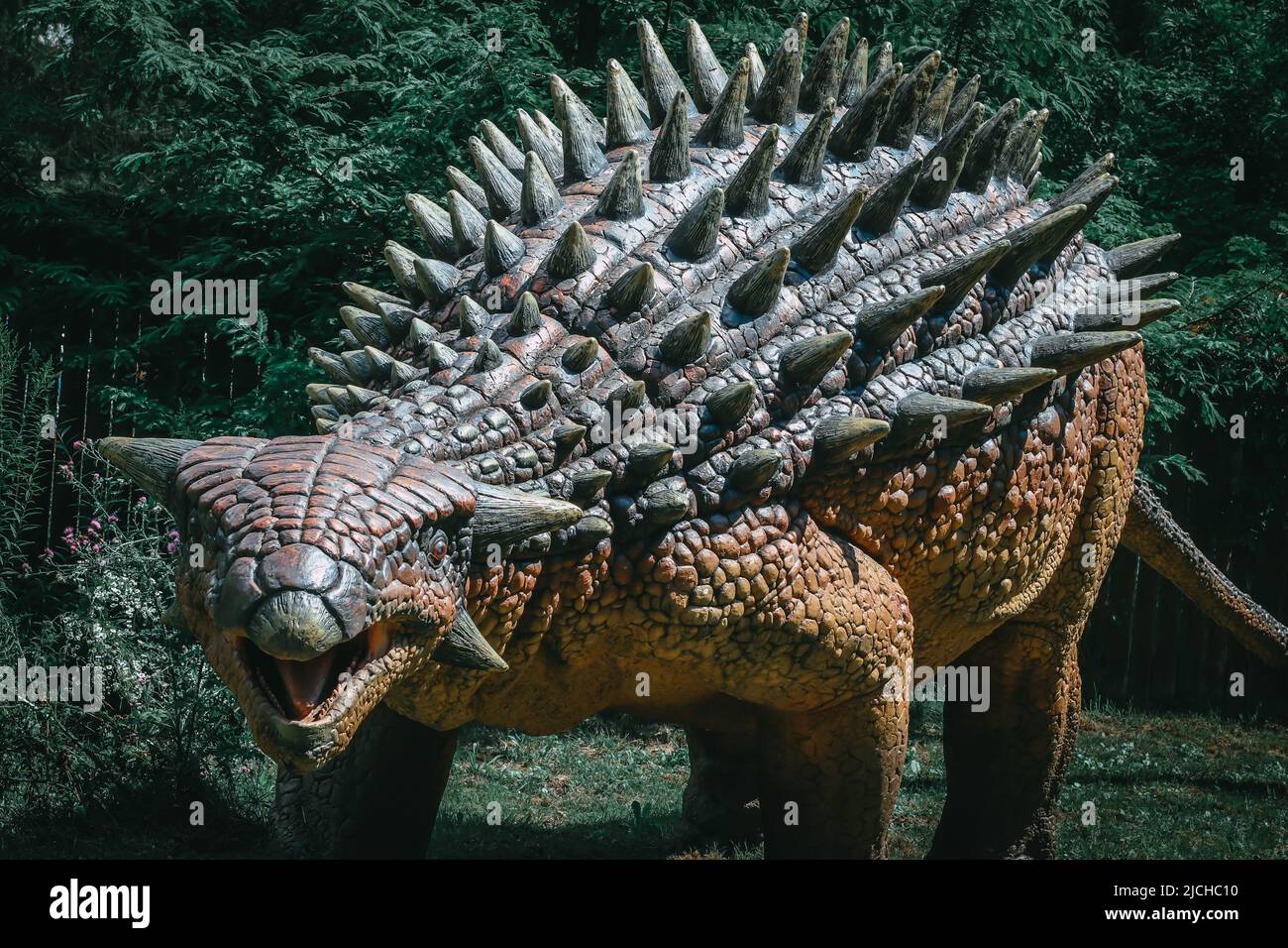 Real size dinosaur Ankylosaurus in jurassic park Stock Photo