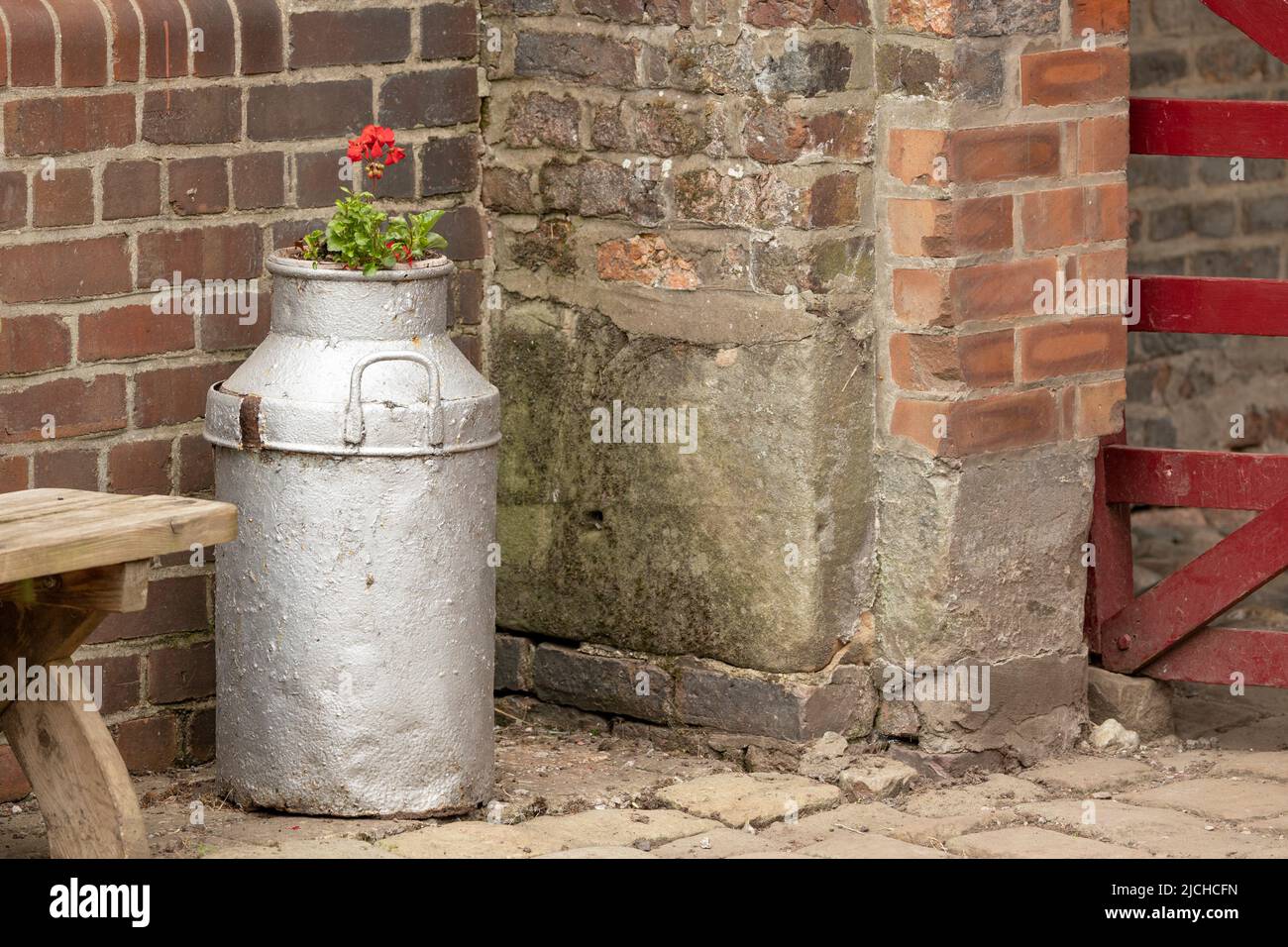 old milk churn used as a flower pot Stock Photo