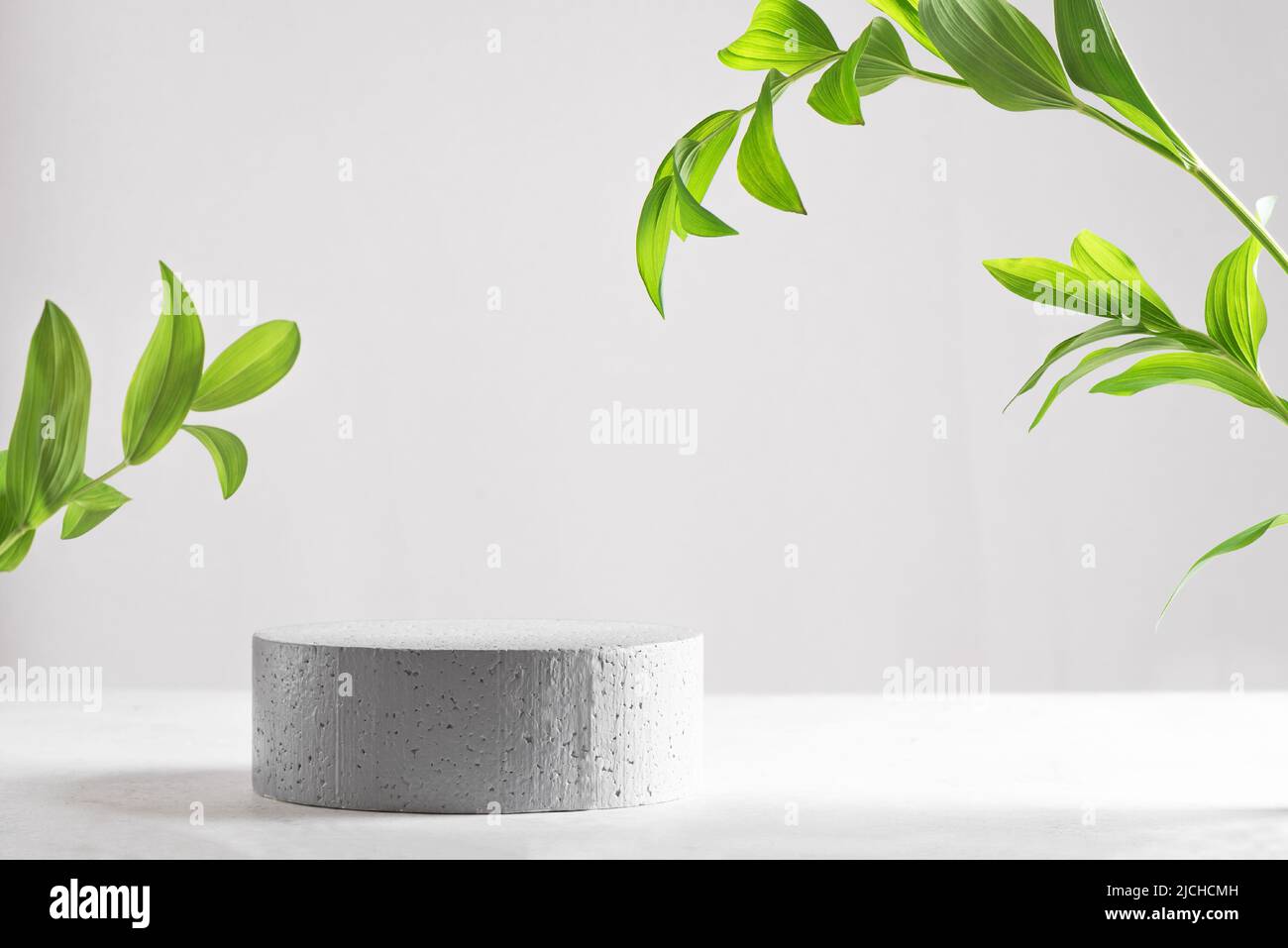 Minimal modern product display on light gray background, copy space. Concrete empty podium and green leaves. Concept scene stage showcase for cosmetic Stock Photo