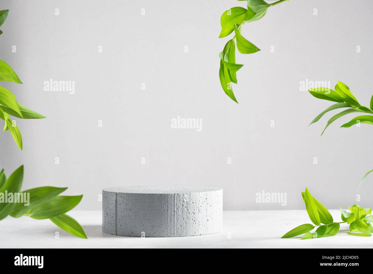 Minimal modern product display on light gray background, copy space. Concrete empty podium and green leaves. Concept scene stage showcase for cosmetic Stock Photo