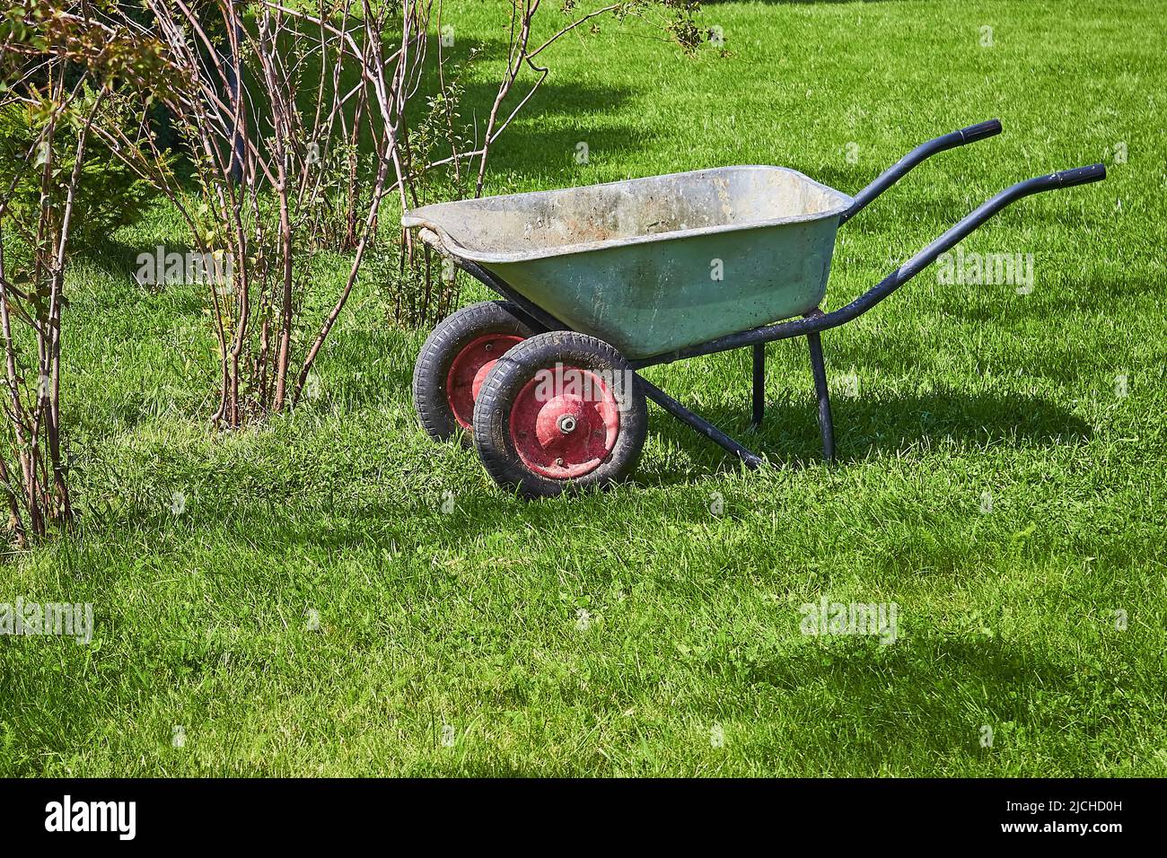 Garden car, green grass and bushes Stock Photo Alamy