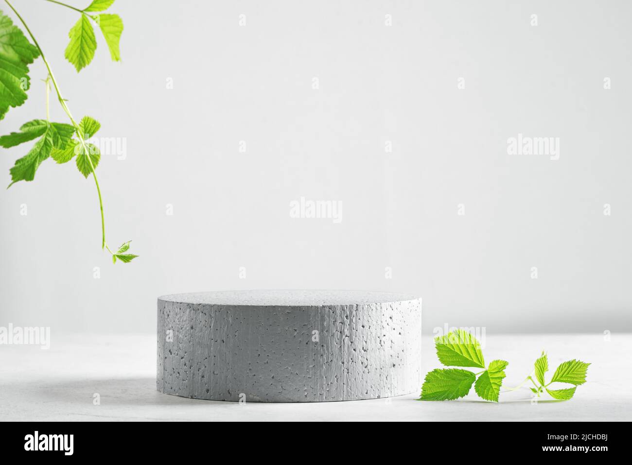 Empty stone podium and green leaves of plants on gray backdrop, scene with copy space for products presentation. Empty modern minimal concept mock up Stock Photo