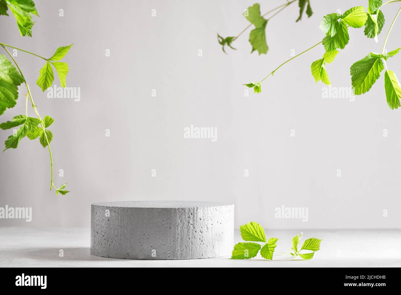 Minimal modern product display on light gray background, copy space. Concrete podium and green leaves. Concept scene stage showcase for cosmetic produ Stock Photo