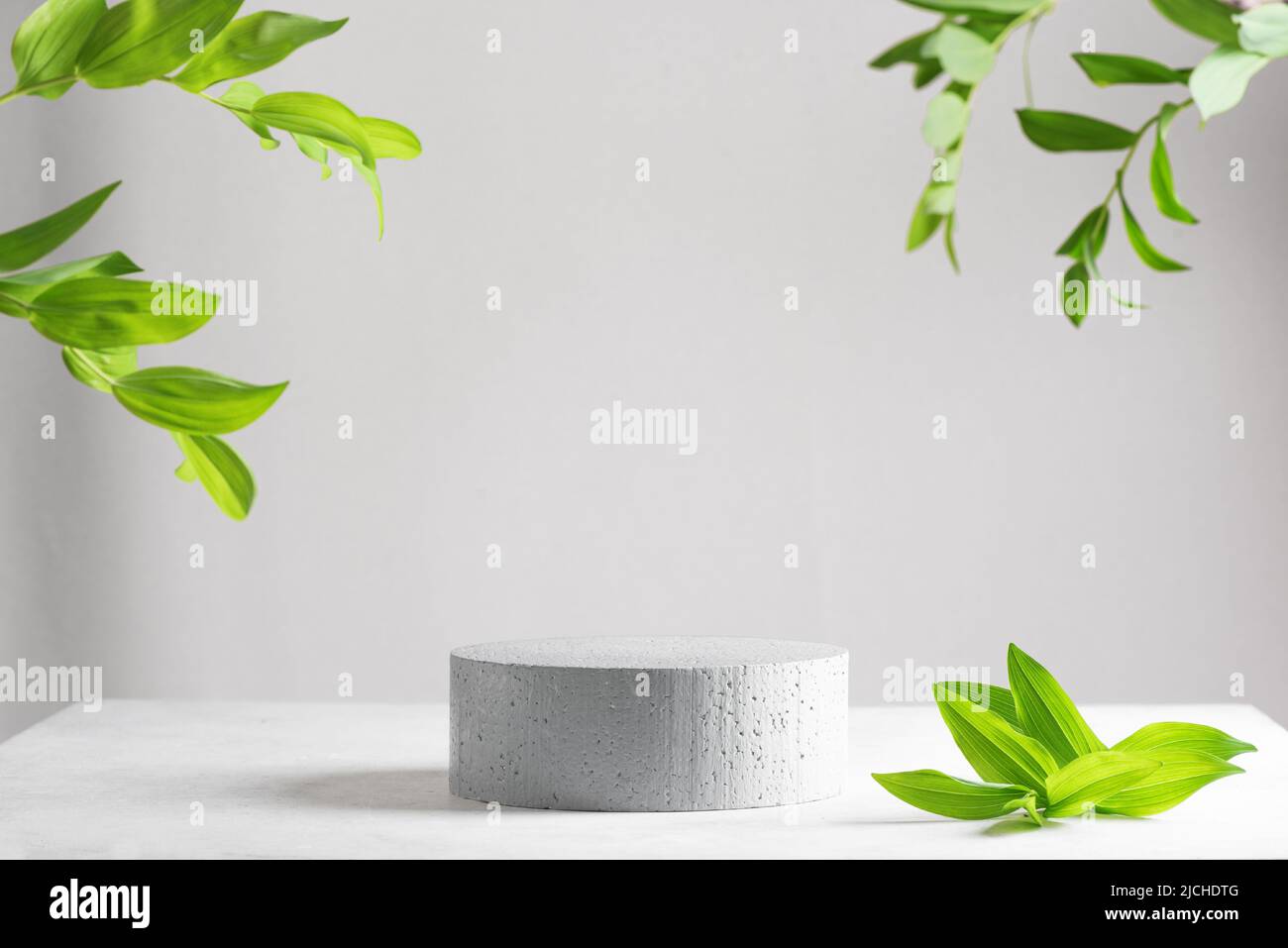 Empty stone podium and green leaves of tropical plants on gray backdrop, scene with copy space for products presentation. Empty modern minimal concept Stock Photo