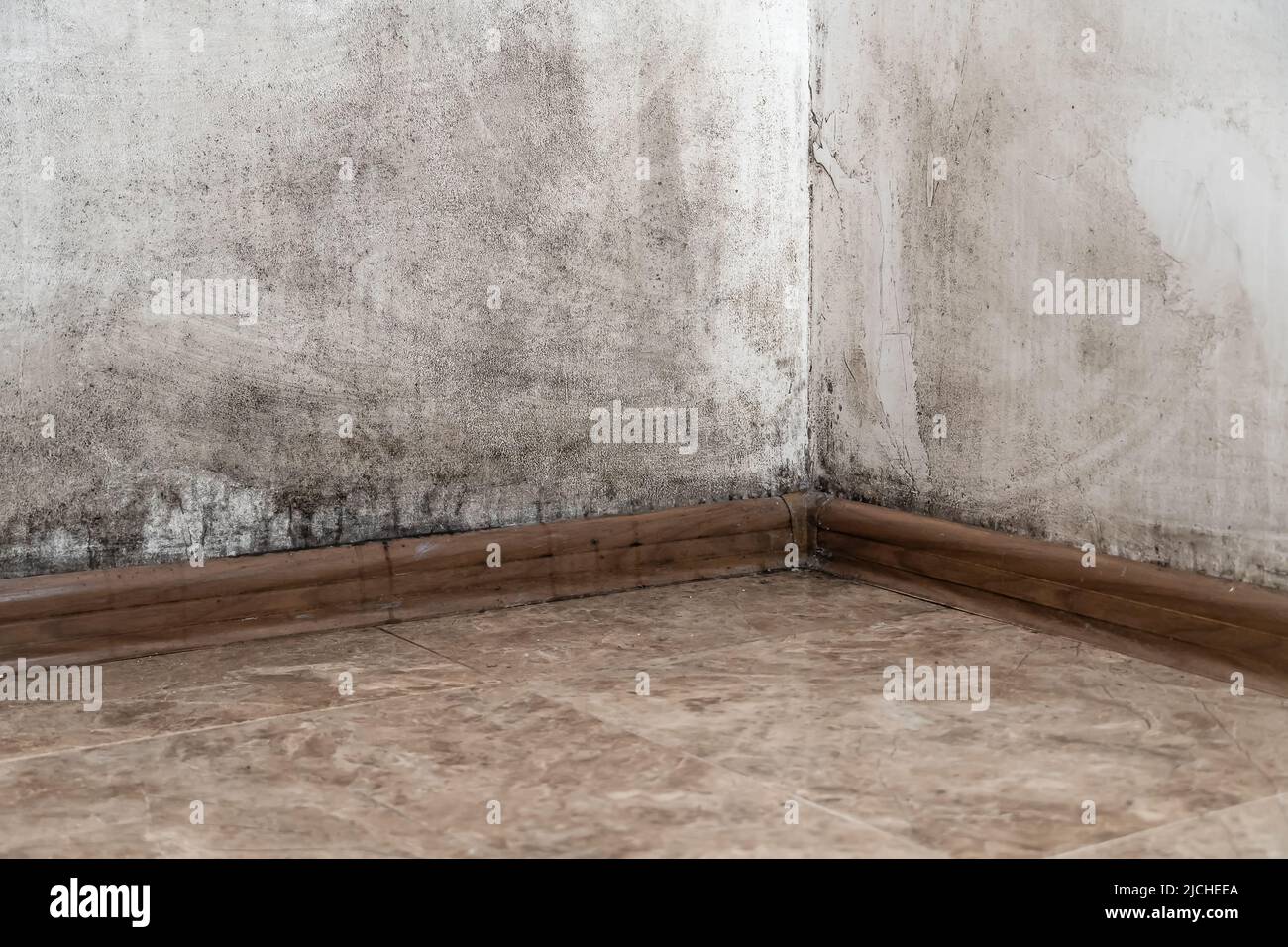 Black mold in the corner of the room wall, closeup, copy space Stock Photo Alamy