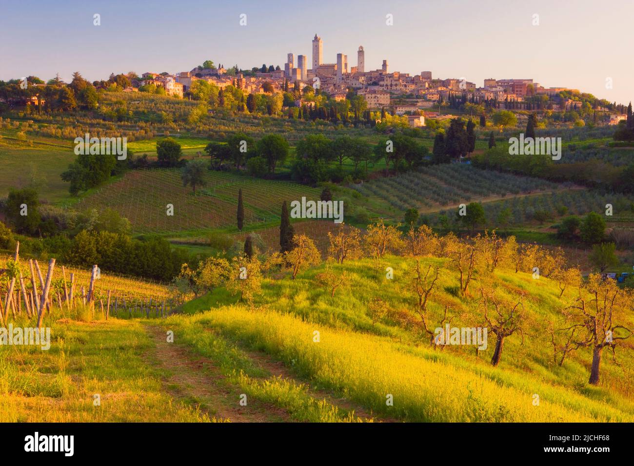 Medieval town of San Gimignano, Tuscany, Italy Stock Photo