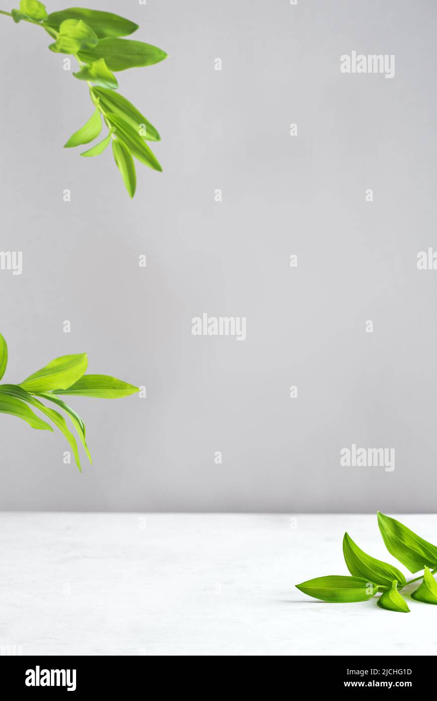 Empty white marble table top, green leaves and gray backdrop, scene with copy space for products presentation. Empty modern minimal mock up for cosmet Stock Photo