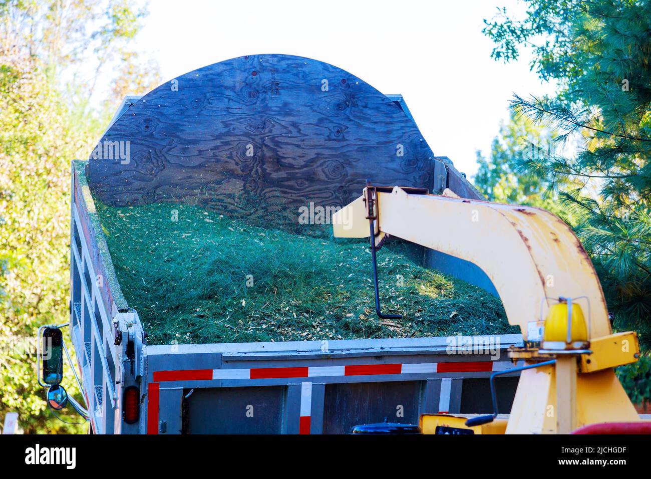 Gardener using shredder or wood chipper for shredding tree Stock Photo Alamy