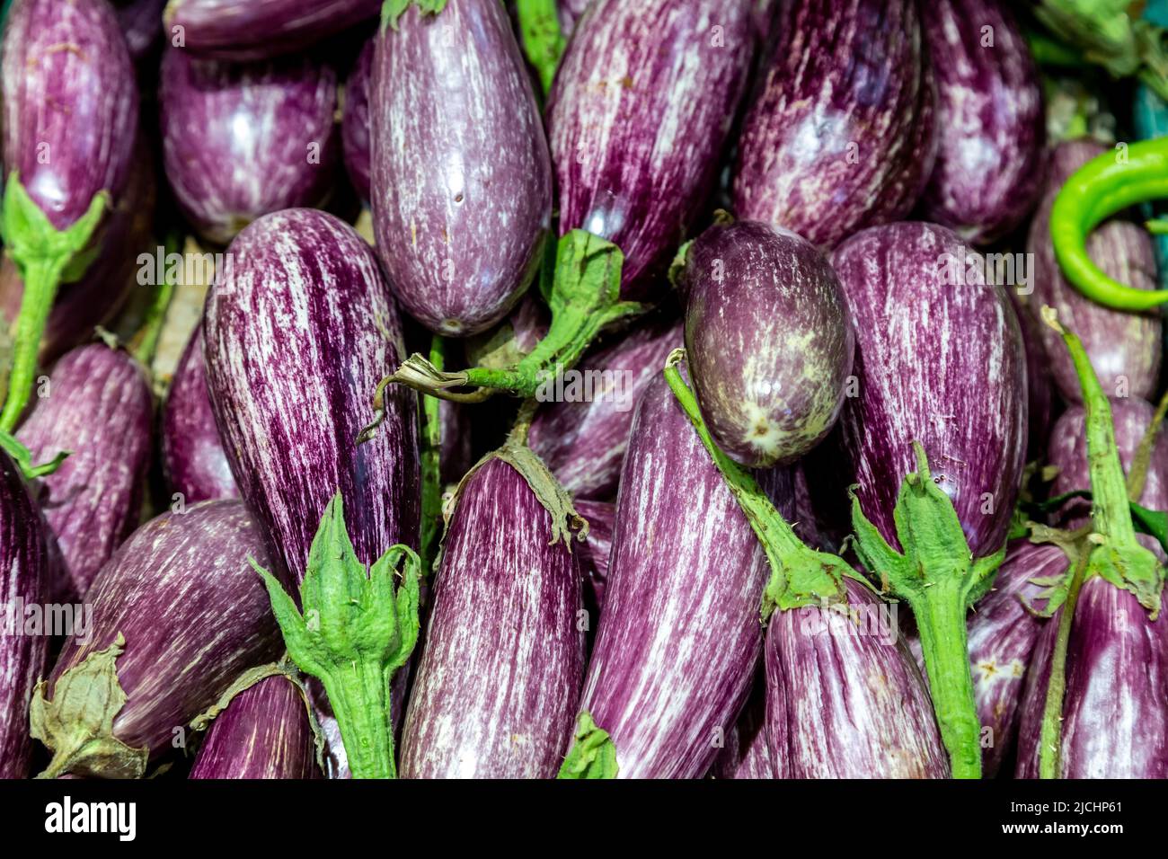A full frame photograph of aubergines, also known as eggplant or