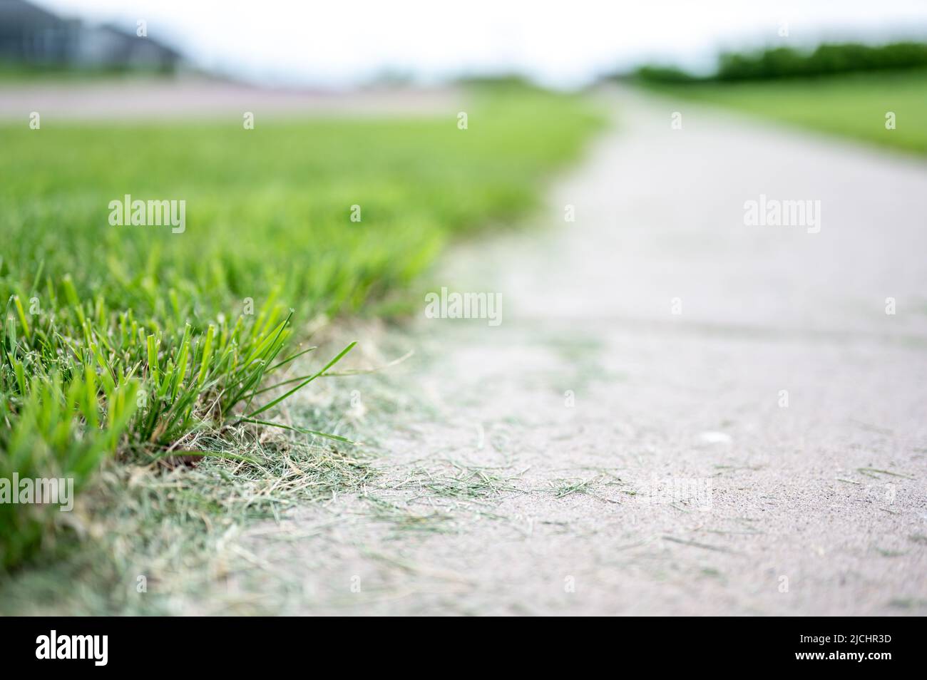 Grass clippings strewn across a residential sidewalk after mowing Stock