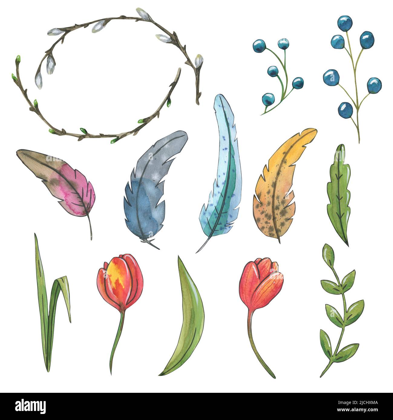 Cartoon feather hi-res stock photography and images - Alamy Cartoon feather hi-res stock photography and images - Alamy