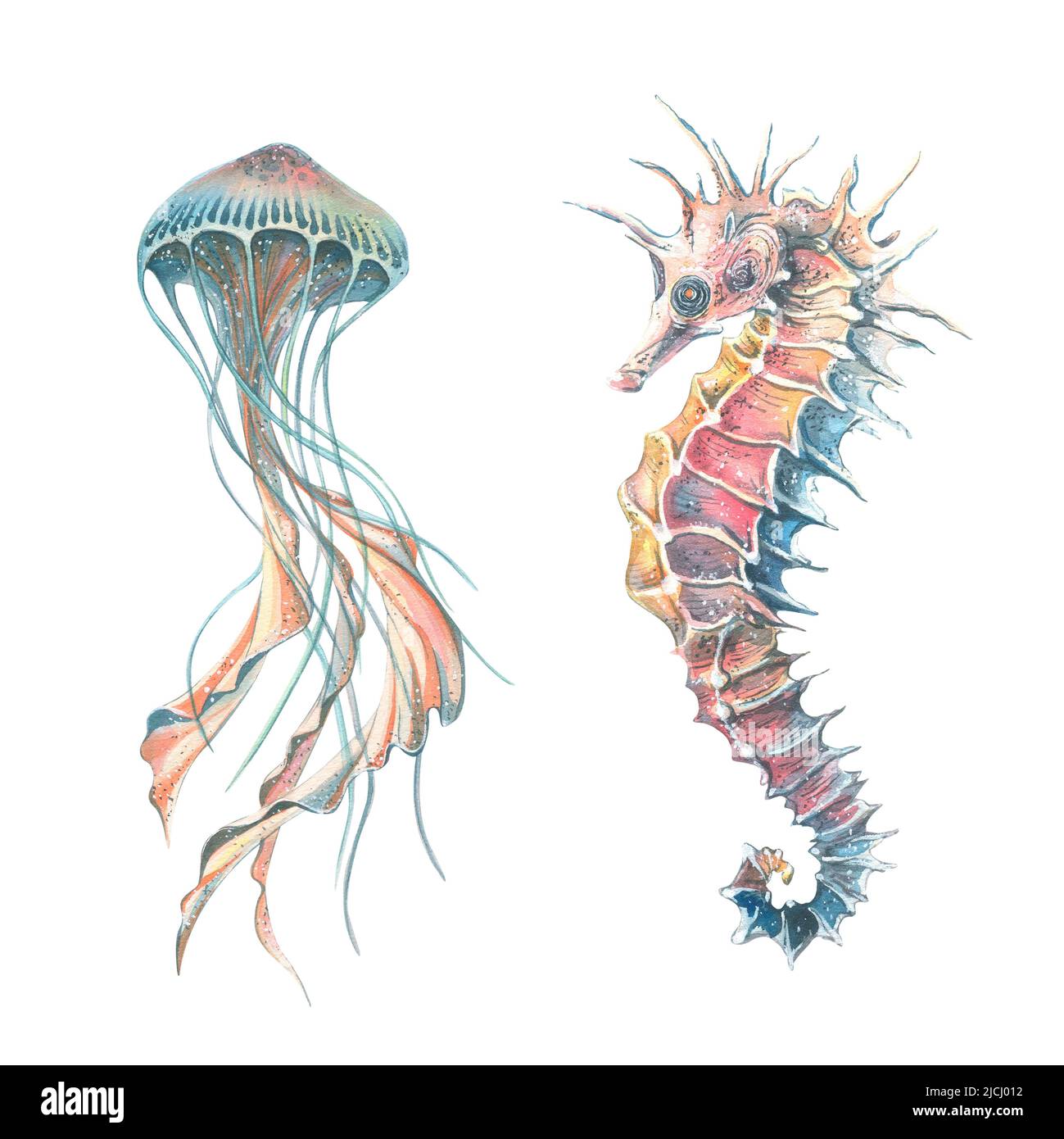 Watercolor print set Special offer Ocean art print Sea life prints Seahorse art Jellyfish art Sea star 2024 print -72