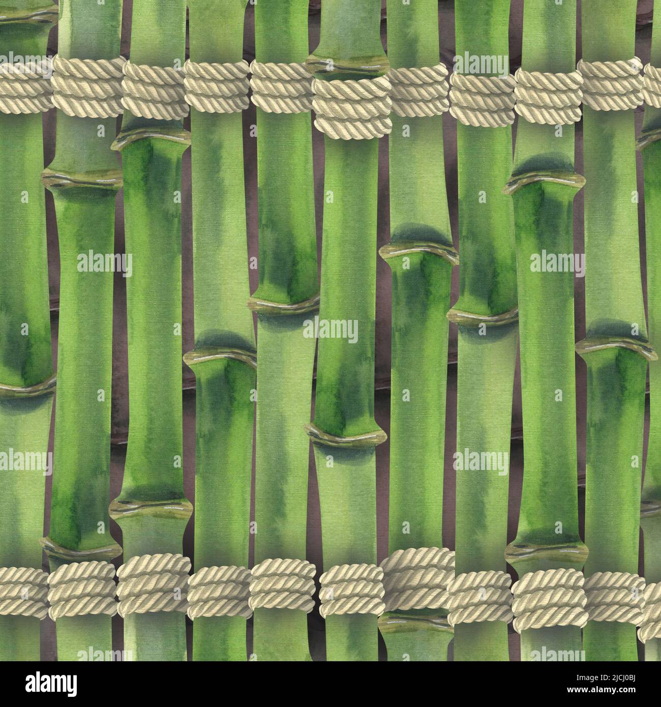 Stems Rope Green background of bamboo stems tied with a jute rope. Watercolor ...