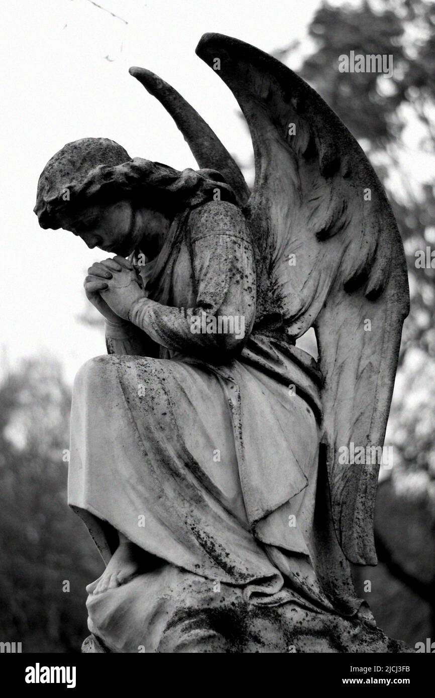 Cemetery statues edited in black and white Stock Photo Alamy