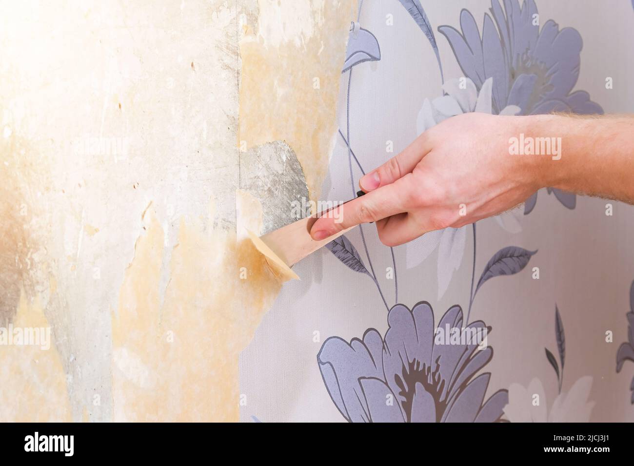 Removing old wallpaper with a spatula and a sprayer with water. A man ...