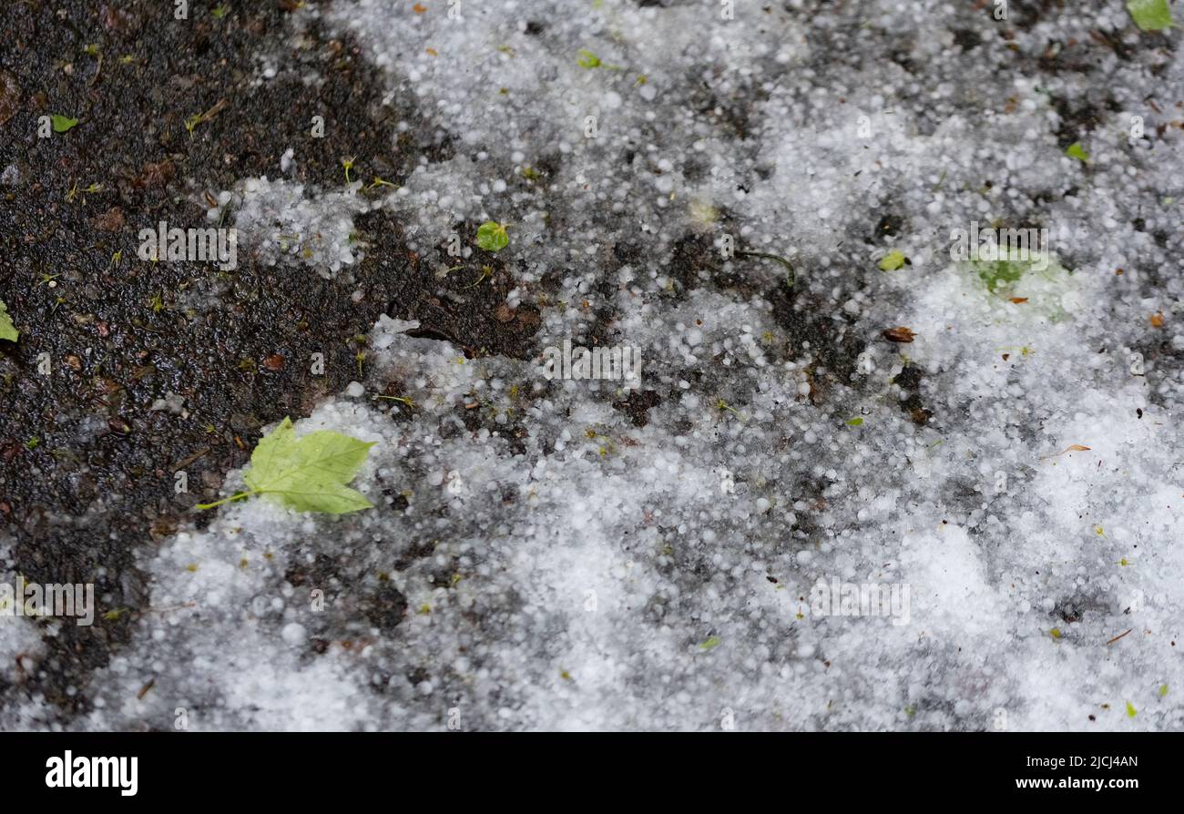 Spring Hail Hail on the ground after the storm. Spring hail balls after heavy ...