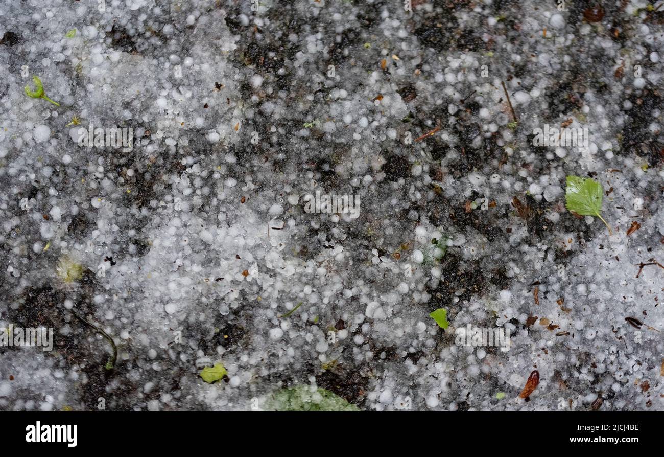 Hail on the ground after the storm. Spring hail balls after heavy ...