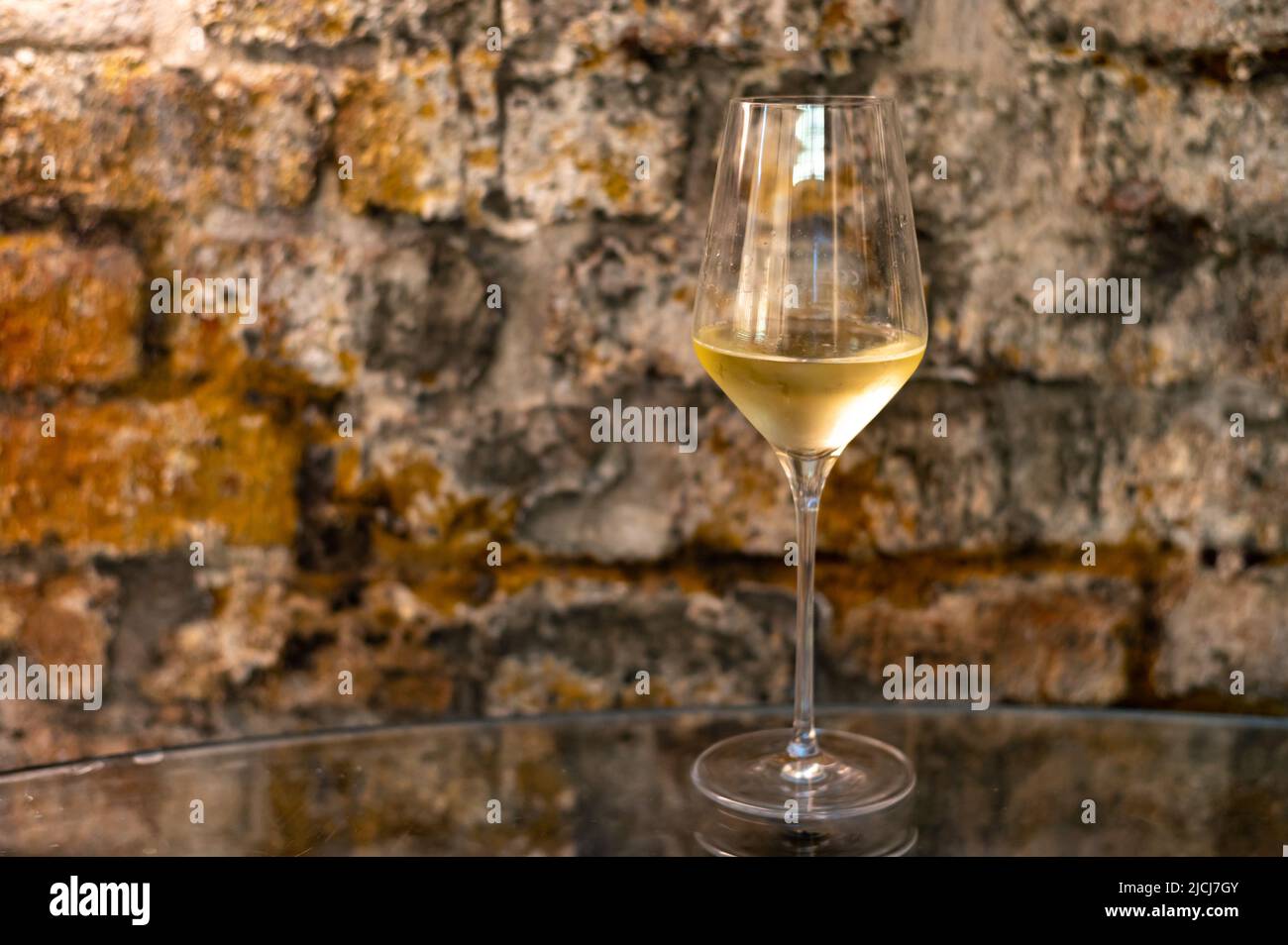 Tasting of brut champagne sparkling wine produced by traditional method in underground caves