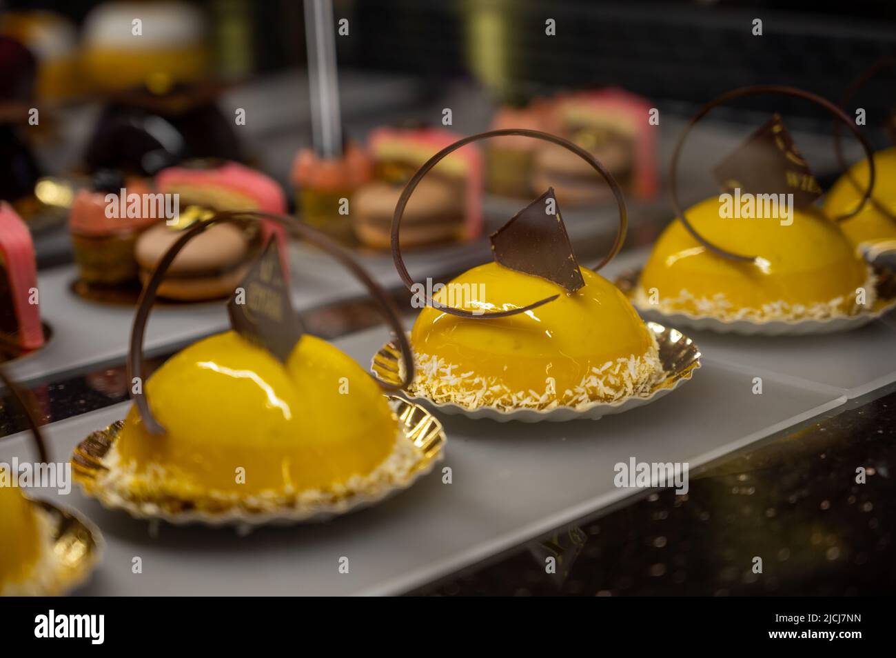 Austrian desserts, different types of chocolate and fruit cakes in