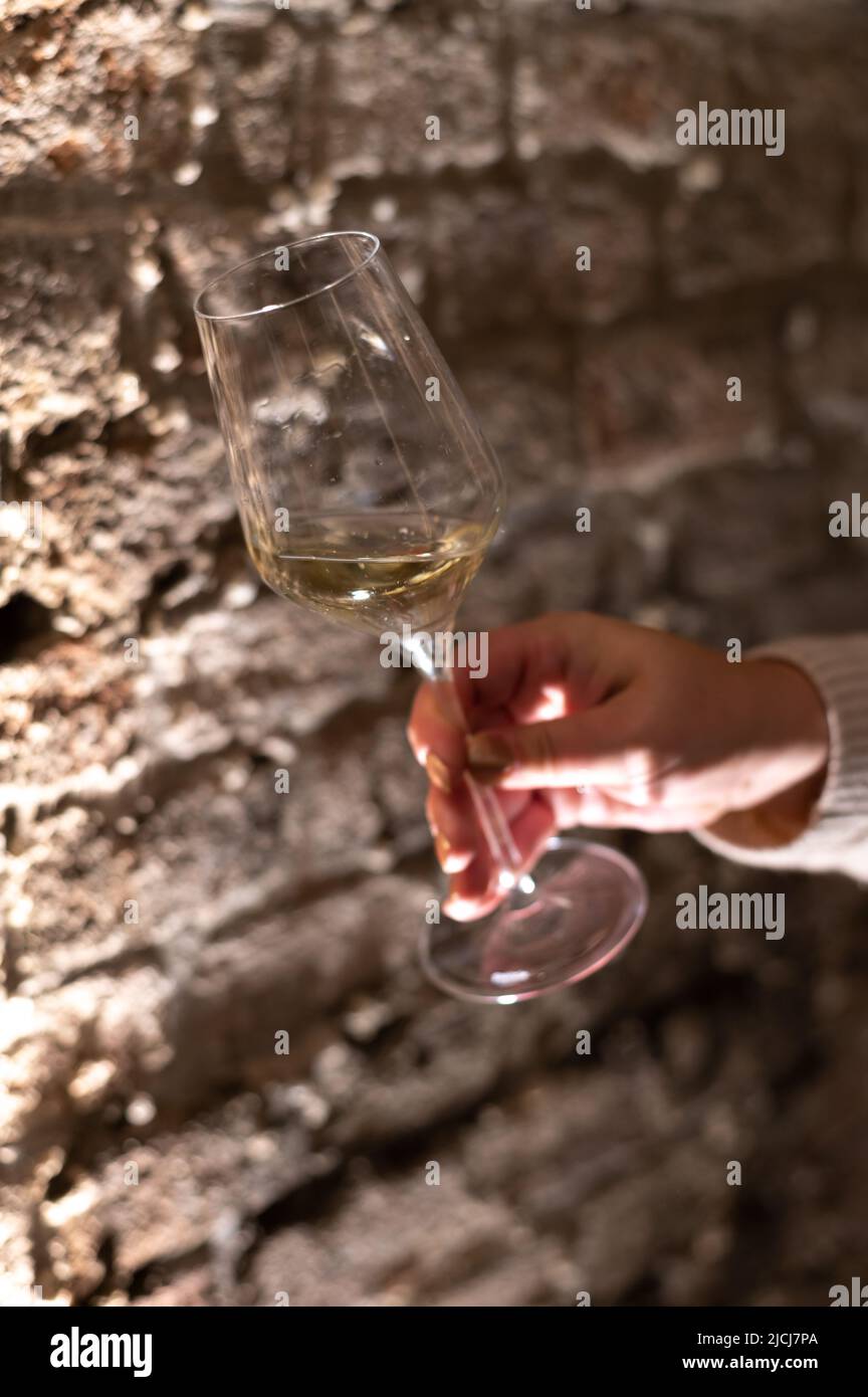 Tasting Of Brut Champagne Sparkling Wine Produced By Traditional Method tasting-of-brut-champagne-sparkling-wine-produced-by-traditional-method