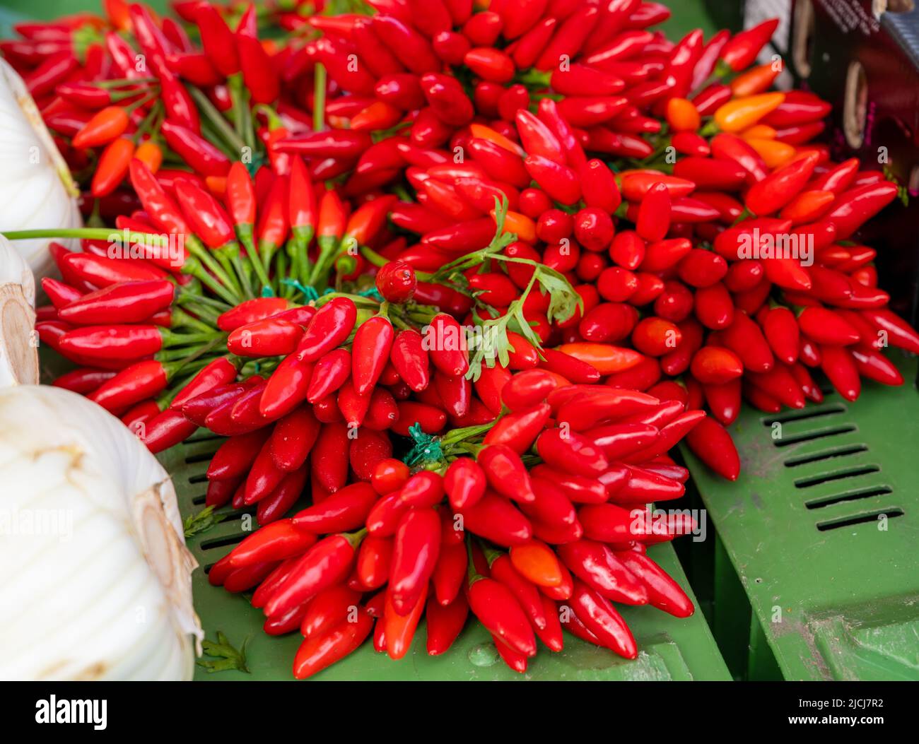 Bunches of many red hot chili peppers for sale on market Stock Photo ...