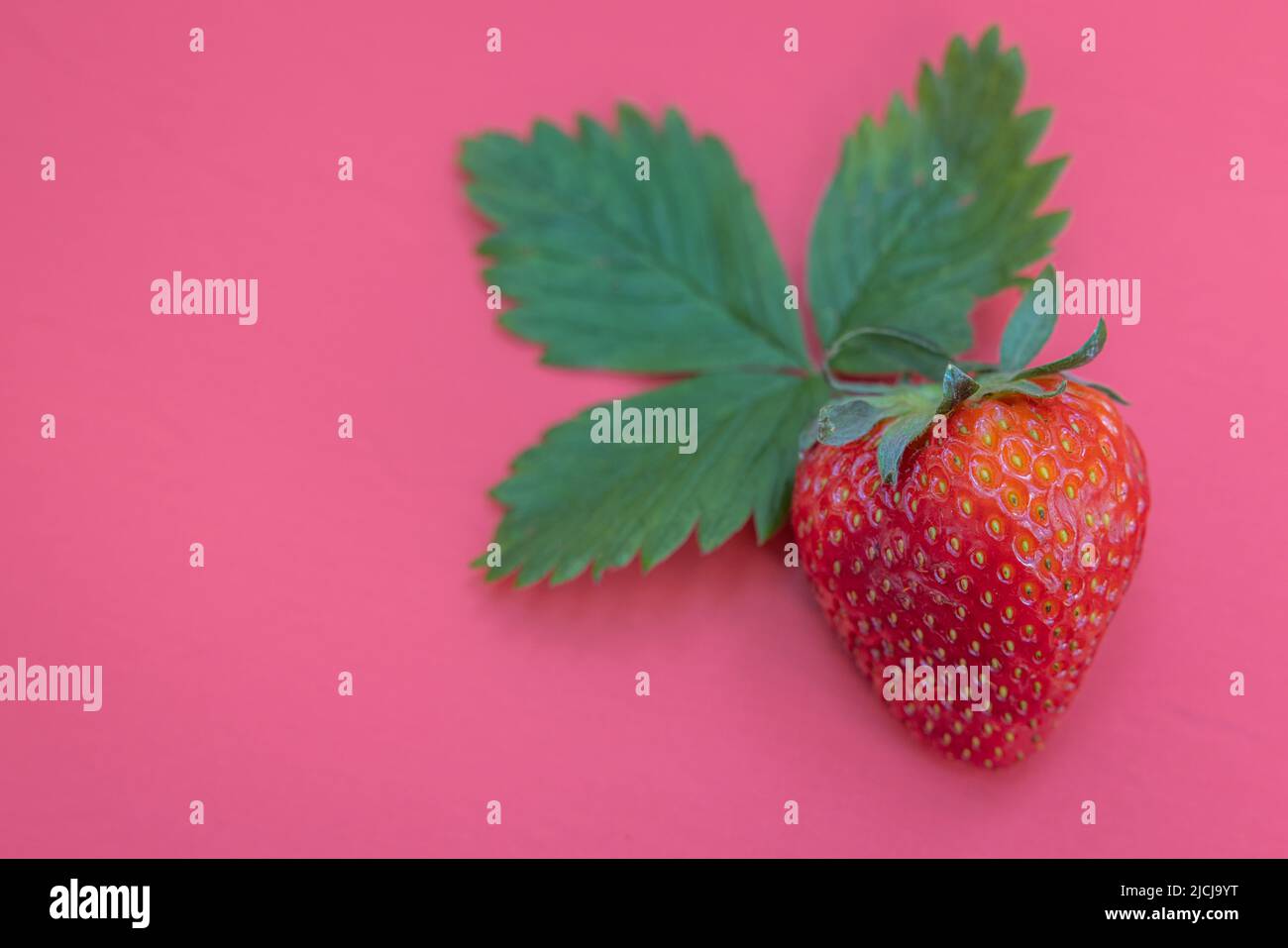 Single ripe red strawberry isolated on a red background Stock Photo - Alamy