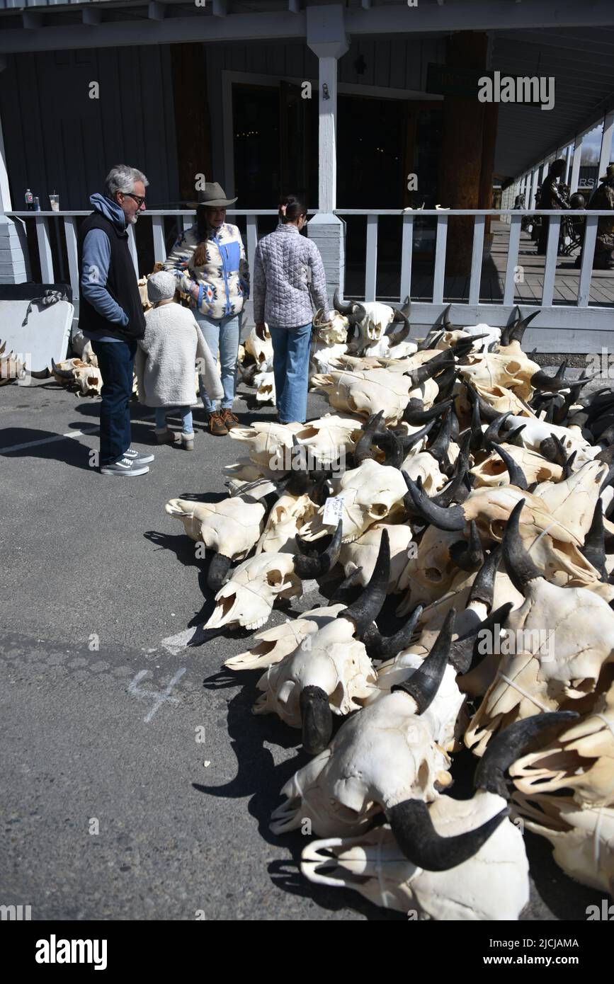 Boy scouts hires stock photography and images Alamy
