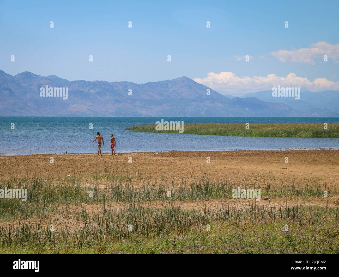 Lake Skadar, Albania - 28.07.2017: Two men are walking along the beach of the Lake Skadar, covered with green and yellow grass with the blue mountains Stock Photo