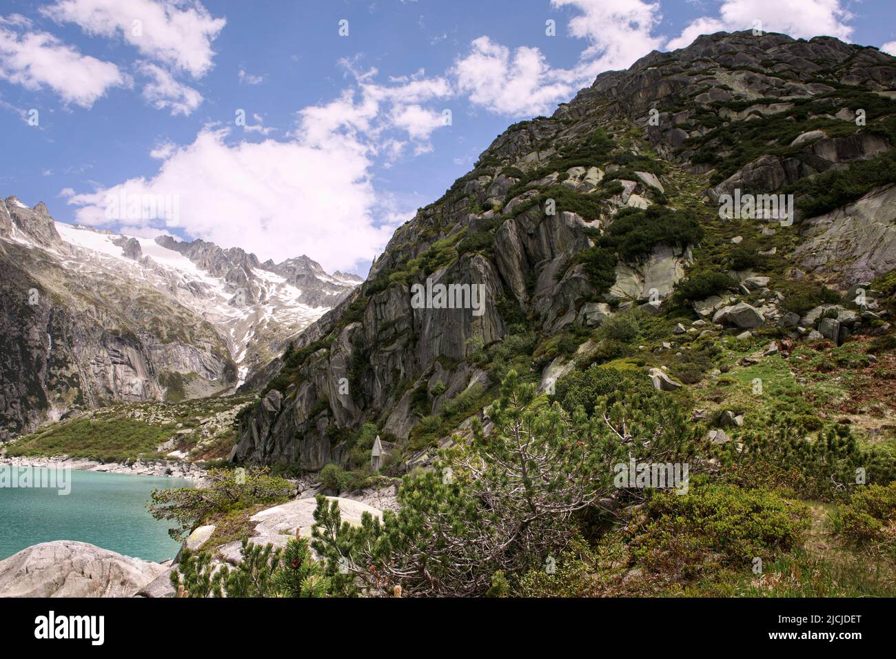 Paterns and textures on majestic rocky mountain. Landscape of swiss alps with green dense vegetation on a slope of a mountain above Gelmer Lake, Gelme Stock Photo