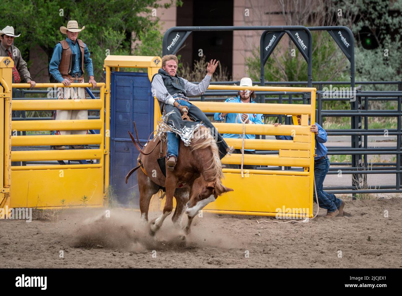 Rodeo in Colorado Springs, Colorado Stock Photo