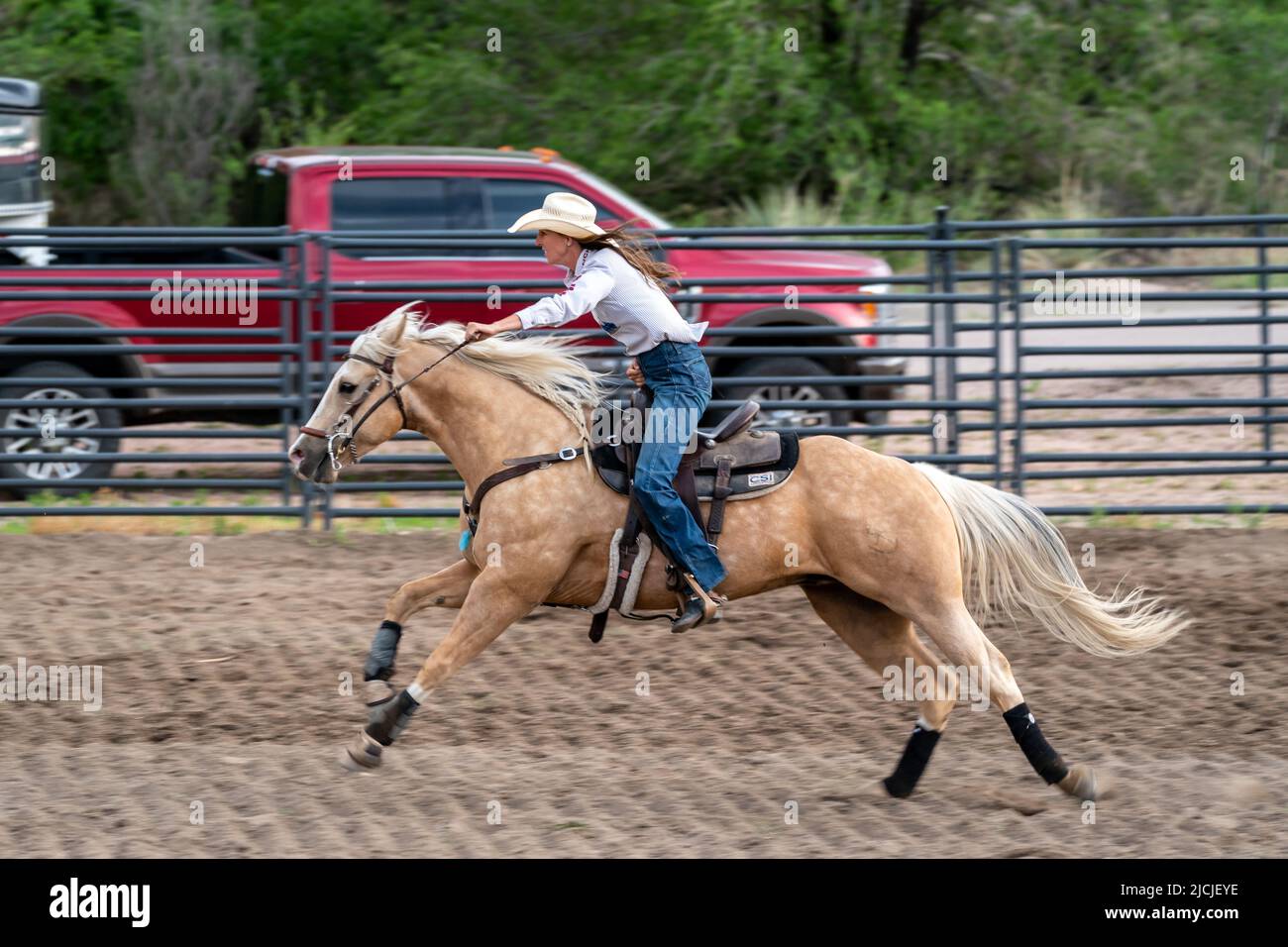 Rodeo in Colorado Springs, Colorado Stock Photo