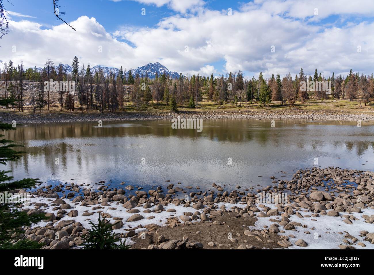 Twin Lakes. Jasper National Park Beautiful landscape. Canadian Rockies