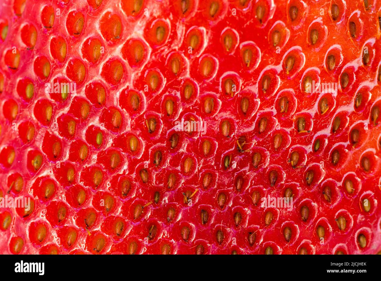 close up of a rest red ripe strawberry with golden seeds and amazing texture Stock Photo