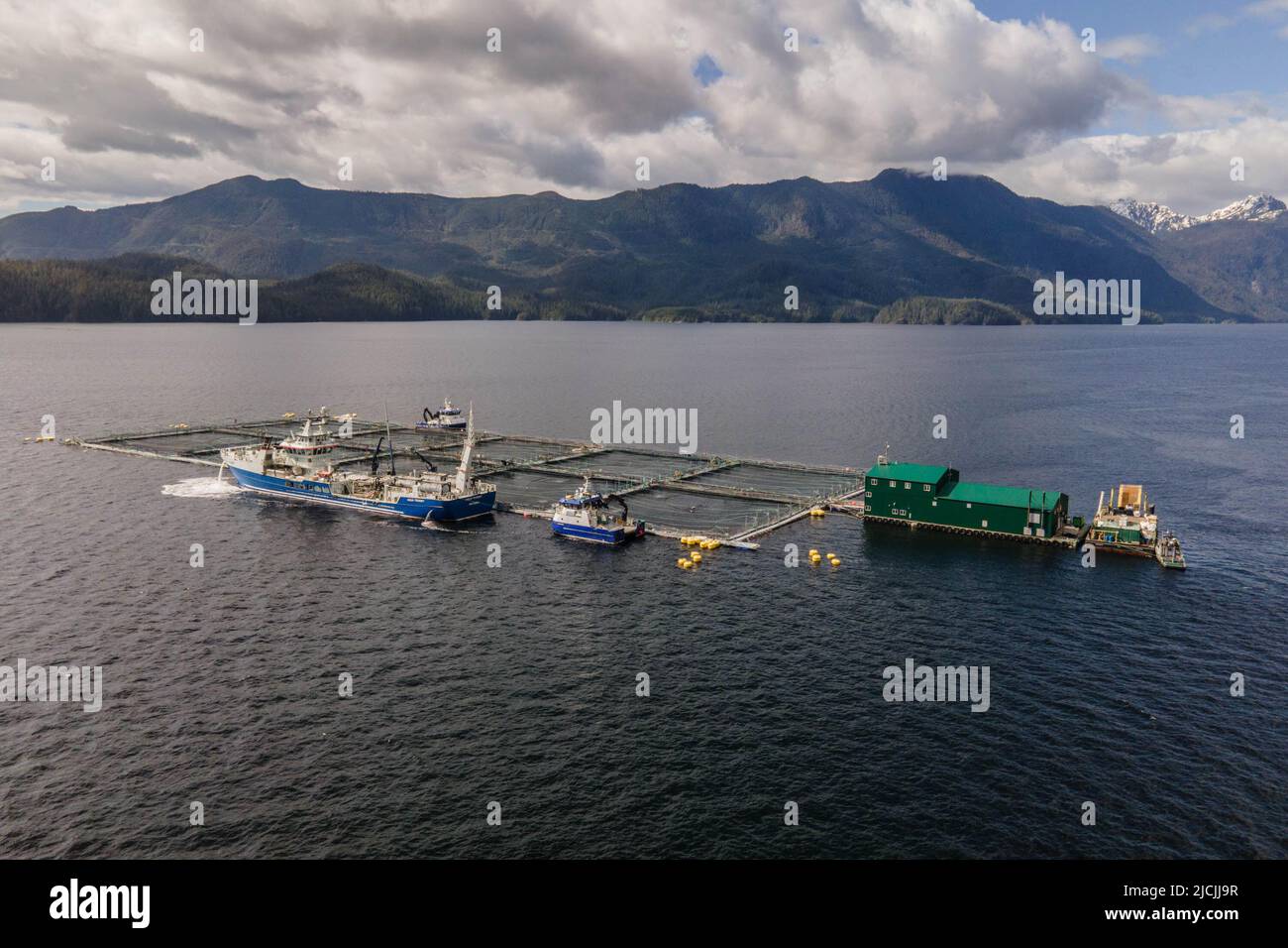 Salmon farm with a delice ship doing sea louse treatment in Clayoquot Sound, British Columbia. Stock Photo