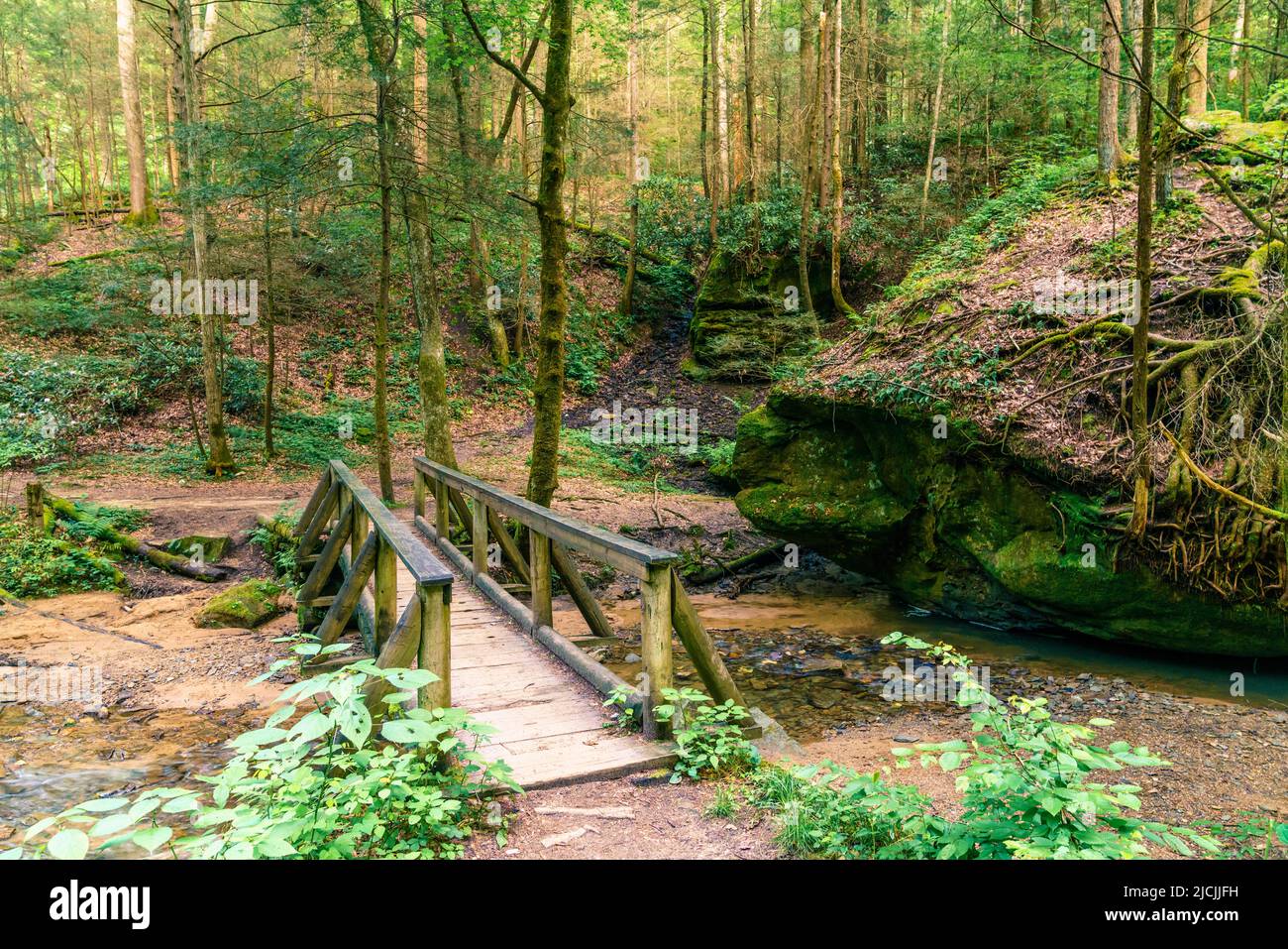 Footbridge over a creek on a hiking trail in Red River Gorge, Kentucky Stock Photo