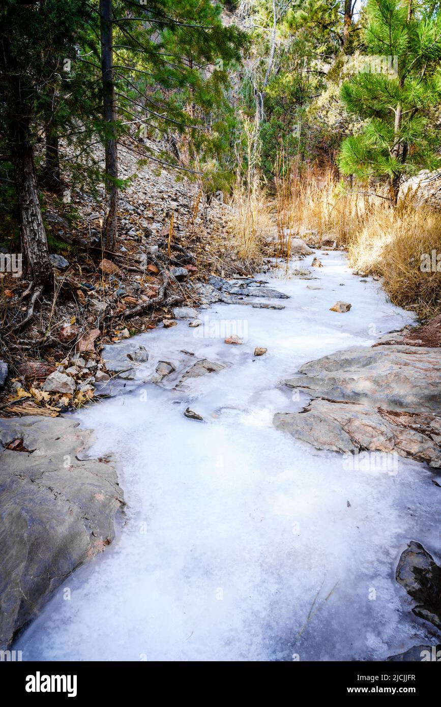 Scenic view of a frozen creek in Grasshopper Canyon in New Mexico Stock Photo