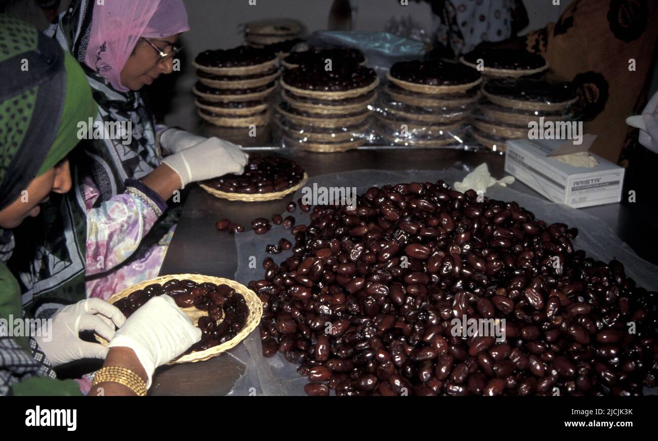 Two women packaging dates, Rustaq, Sultanate of Oman 1980s Stock Photo