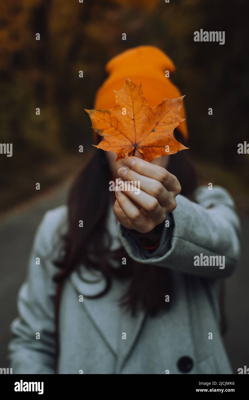 Young woman is holding a maple leaf in front of her face by covering it ...