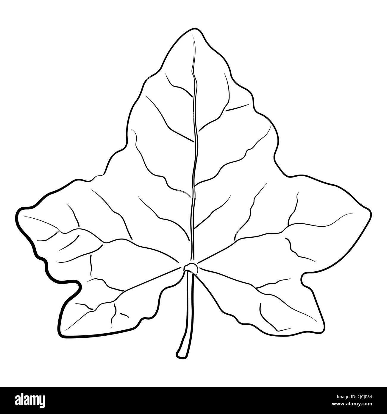 Leaf Sketch Images - Free Download on Freepik