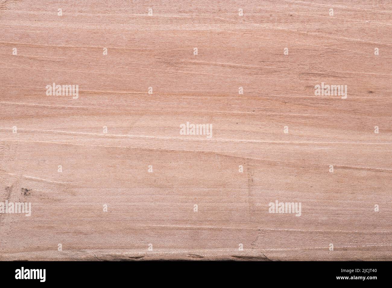 detailed rough texture of dried pear wood Stock Photo