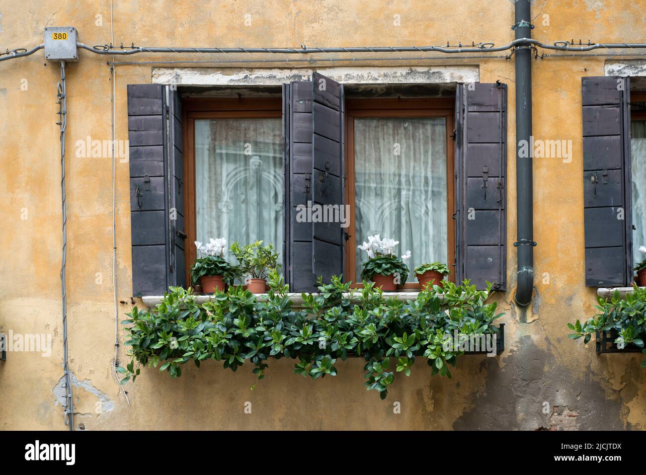 ancient building wall with two windows and blossom flowers in pots Stock Photo