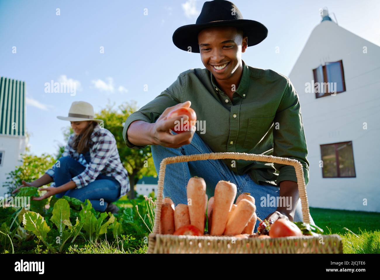Mixed race male farmer working in vegetable patch  Stock Photo