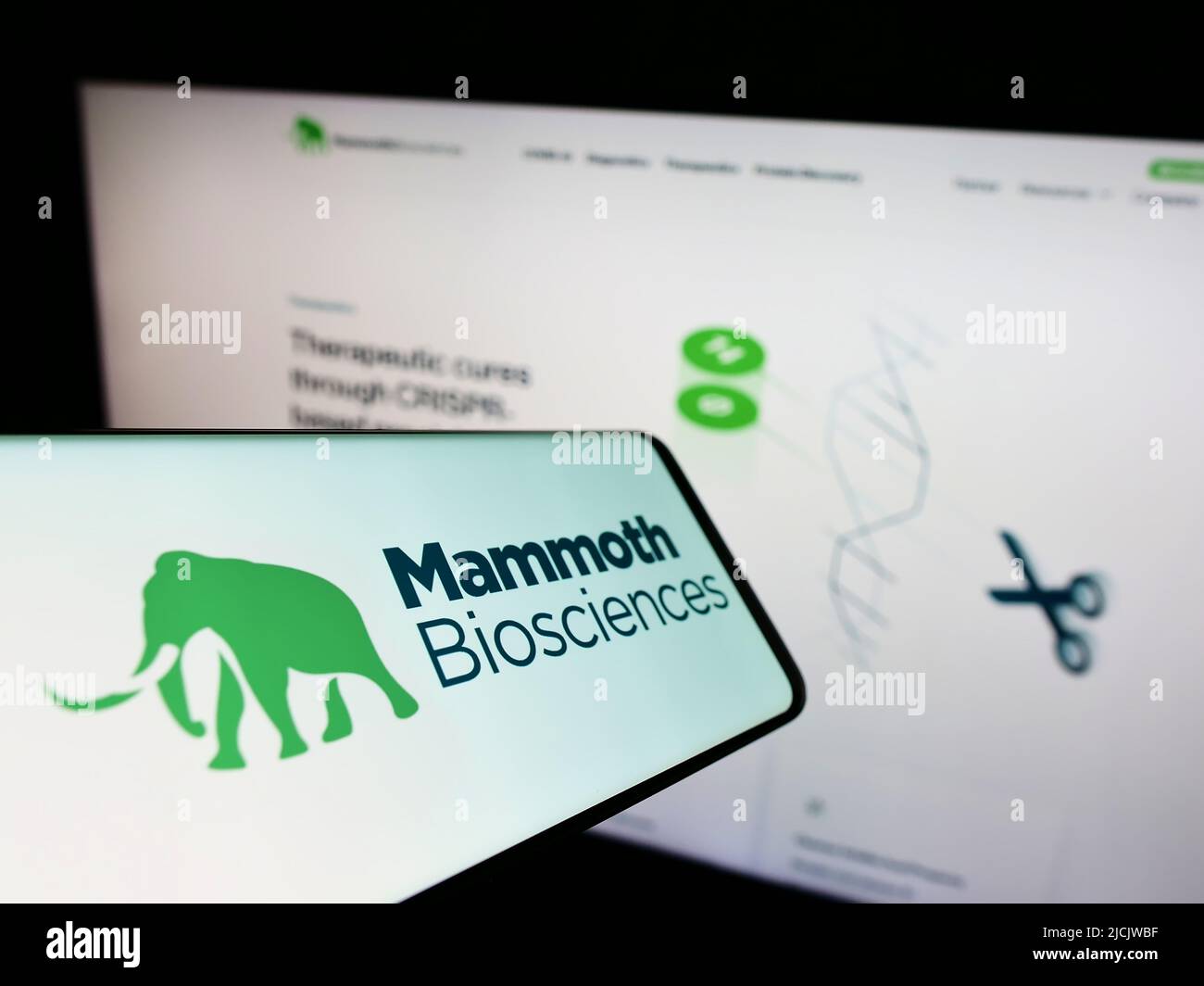Smartphone with logo of US biotech company Mammoth Biosciences Inc. on screen in front of business website. Focus on center of phone display. Stock Photo
