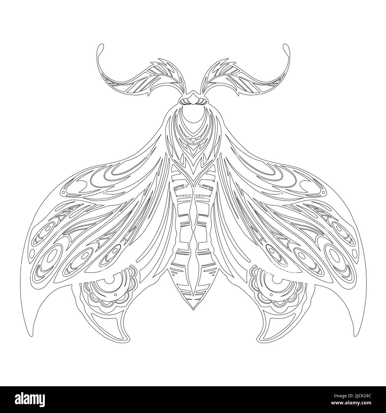 Vector contour drawing of a moth. Monochrome line art of a night butterfly with tracery decoration. Outline insect with ornamental wings Stock Vector