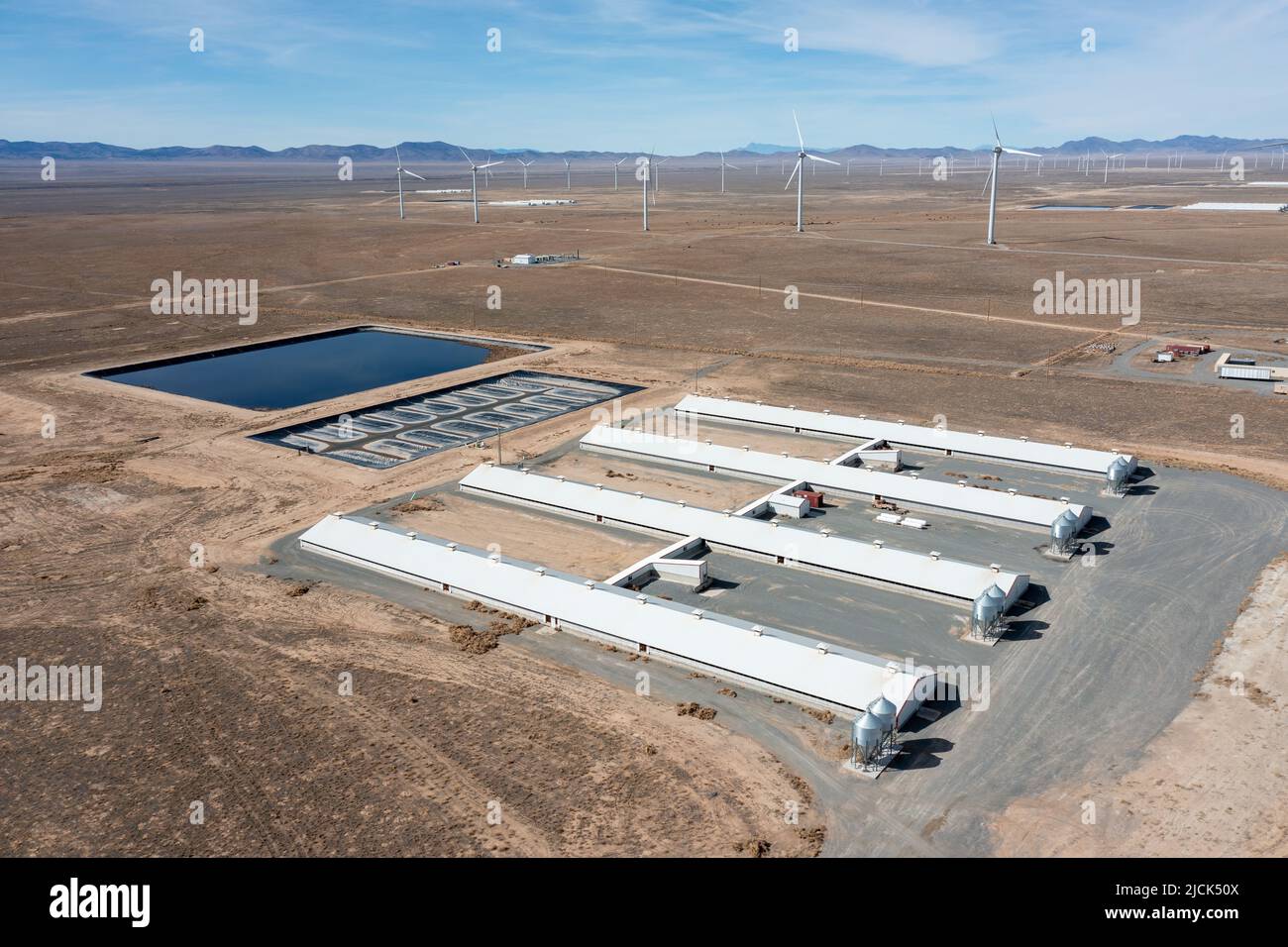 Two sources of renewable energy wind & biogas. Inside the Milford