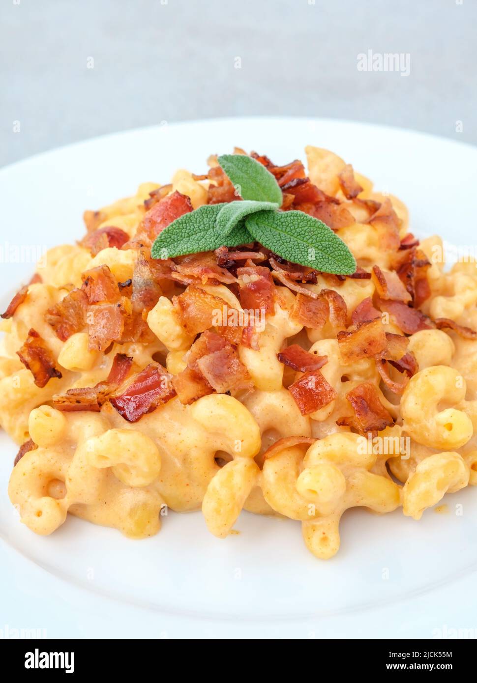 Portion of macaroni and cheese with bacon topping Stock Photo Alamy