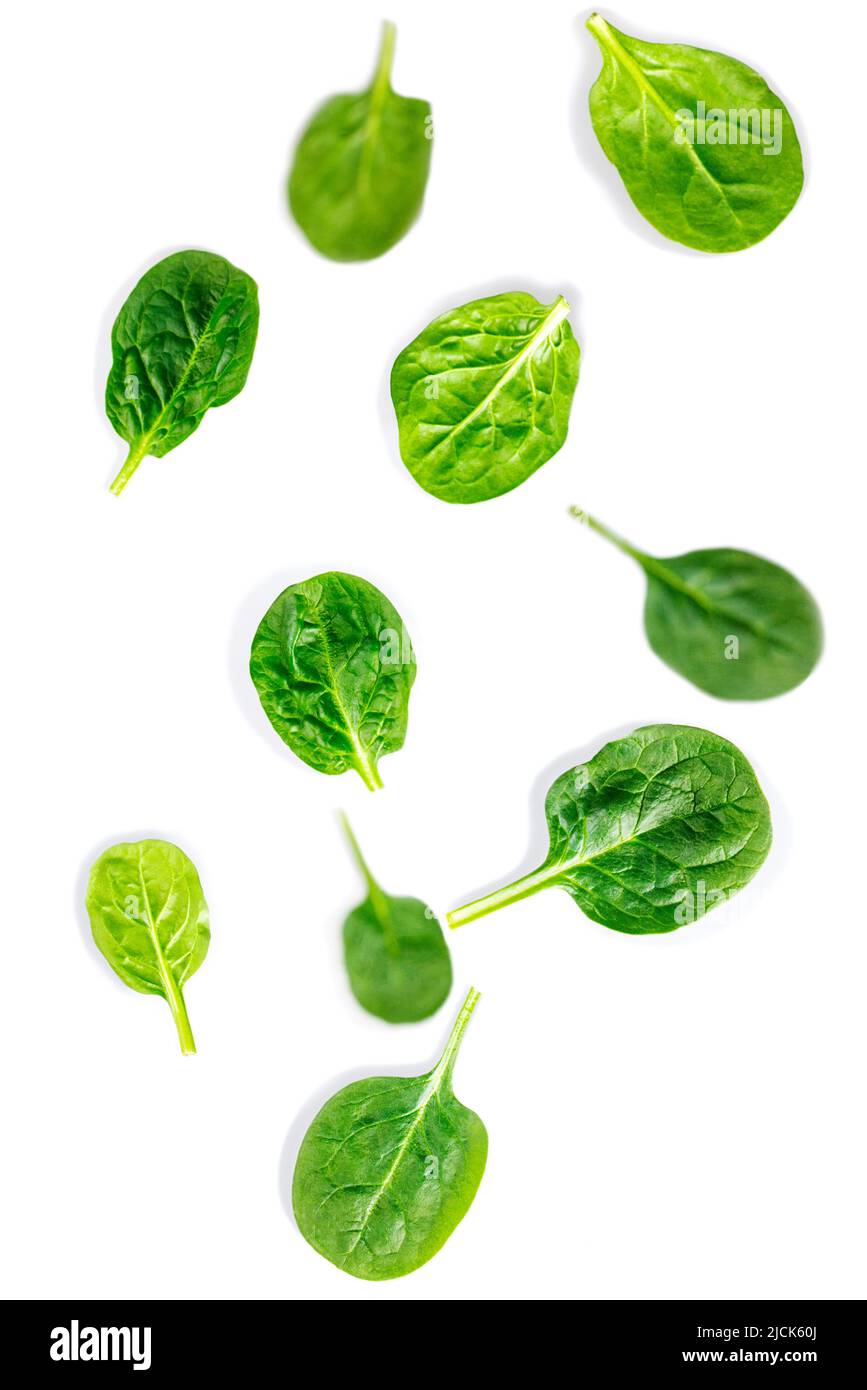 Fresh spinach leaves on white background. Stock Photo