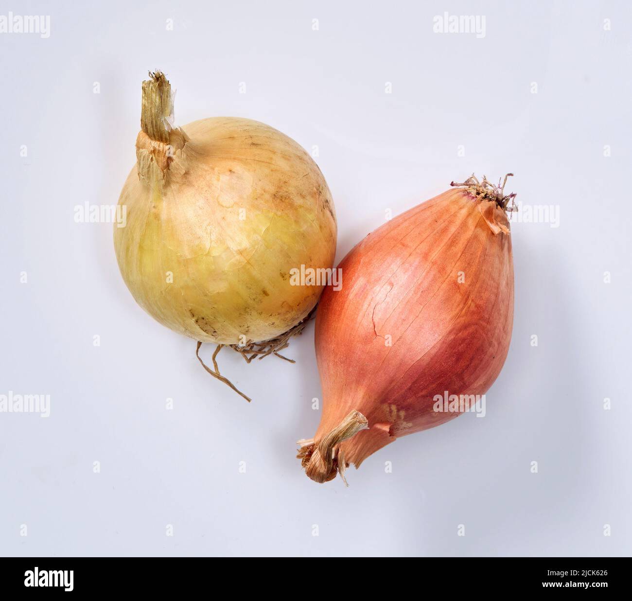 onion and shallot isolated on white background. Stock Photo
