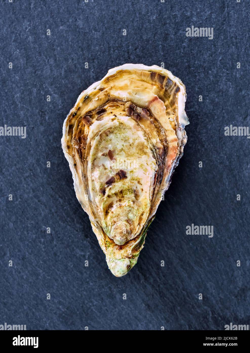 Fresh raw oyster clams isolated and ready to eat. Stock Photo