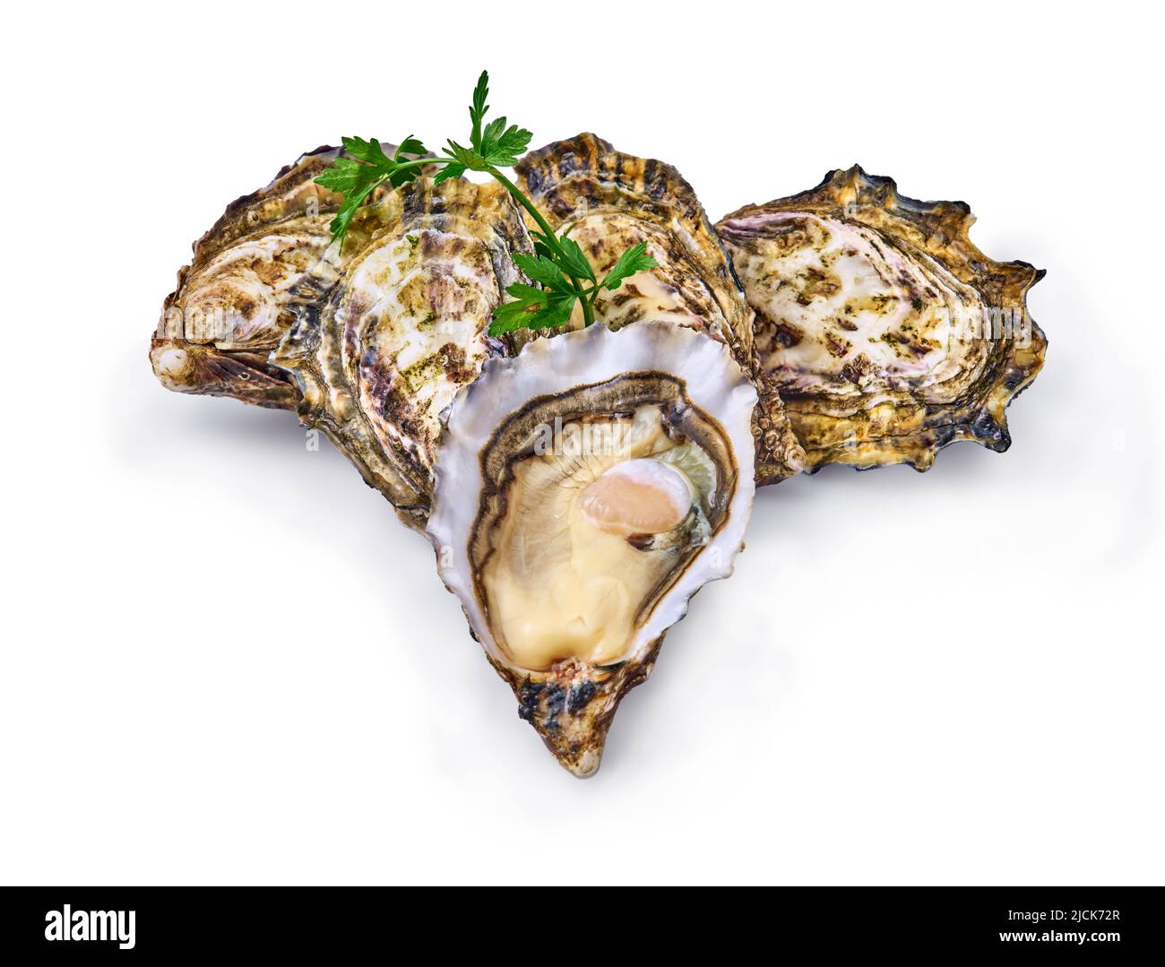 Open fresh raw oyster clams isolated and ready to eat Stock Photo Alamy
